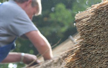 professional Ellan thatchers